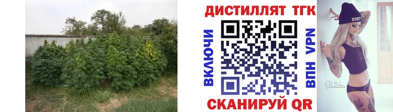 Дистиллят ТГК Wax  дарнет шоп  Белоусово 